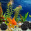 50Stk Aquarium Filter Bio Kugeln Zur ( ) 7