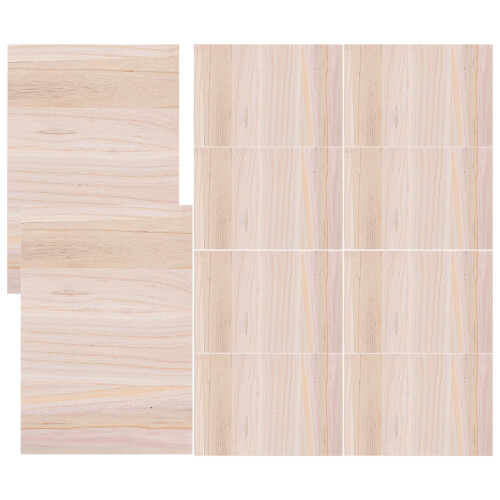 60 Pcs Professional Breaking Planks For Taekwondo Training