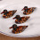 20 Pcs Duckling Chopsticks Rests Resin Spoon Fork Holder 11