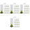 80 Pcs Plastic Bee Cage Bee Breeding And Feeding Equipment 5