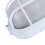 Oval Explosion-Proof Sauna Vaporproof Light 60W Warm White 8