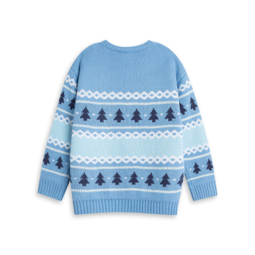 Bluey (4-5 Years) Bluey Christmas Jumper (Boys Blue) 1