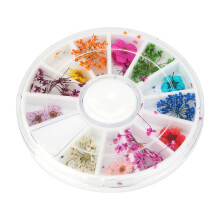 Bunter natürlicher getrockneter Blumen-Set für Nägel & Dekoration, 6x6x1cm