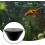 Aquarium CO2 System Desktop Storage Rack For Home Use, Compact CO2 Organizer 4