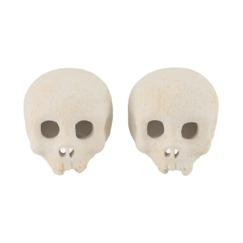 2 Pcs Skull Fire Log Ceramic Fireproof Fire Pit Holiday Decoration
