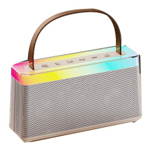 Mini Karaoke Machine HiFi Bluetooth Speaker 2 Mic