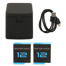3 Channel Type C Camera Charger with 2x1800mAh Rechargeable Batteries