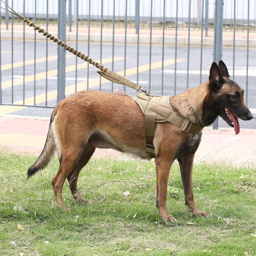 Working Dog Training Vest For Large Dogs Tactical Harness With Handle Metal Hook Panel 2