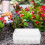 Plastic Seed Storage Organizer Box For Flower Vegetable Seeds Garden 7