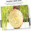 Straw Material Archery Target Hand Woven Portable Ring Grass Target 50 Cm Diameter 2