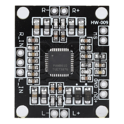 PAM8610 Dual Channel 12V 15W*2 Digital Amp Board