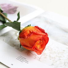 (Orange 58cm) 5Pcs/set Artificial Rose Vintage Style Burnt Edge Rose Flower Decorative Table Artificial Flower