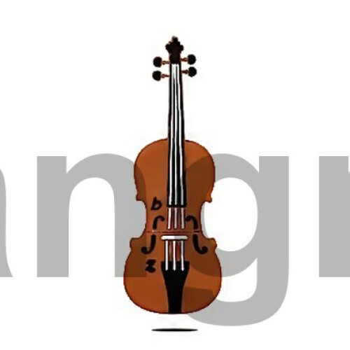 Pour Microdrive 8gb Usb 20 Medium Violon U 2
