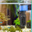 Water Filter Pump Aquarium Pond Pump Oxygenation Filtration System Quiet, Compact Size, Internal Cleaning Model Specs 2