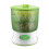 (UK 2 Layer) Bean sprouts maker for small kitchens with efficient growth 1