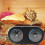 Reptile Box Accessories 1