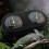 Reptile Box Accessories 2