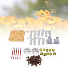 Queen Rearing System in Plastic Beekeeping Grafting Kit Bees Supplies