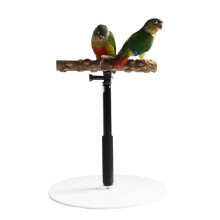 Bird Perch Stand Platform, 37-Inch Adjustable Parrot Training Stand, Natural Tree-Branch T-Stand, Detachable Stand