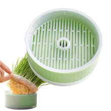 Cat Grass Box Hydroponic Grass Planting Box For Cats Indoor Cat Grass Pot Green Cat Plant Grower