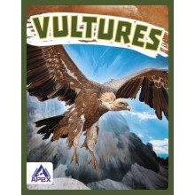 Vultures