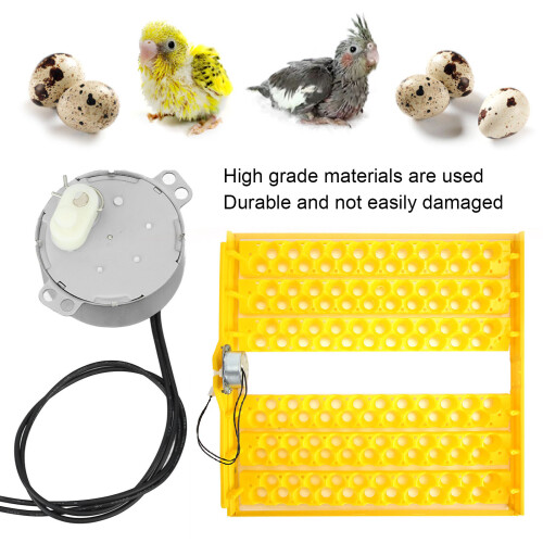High Performance 4W Egg Rotator Motor for Incubator 220-240v 2