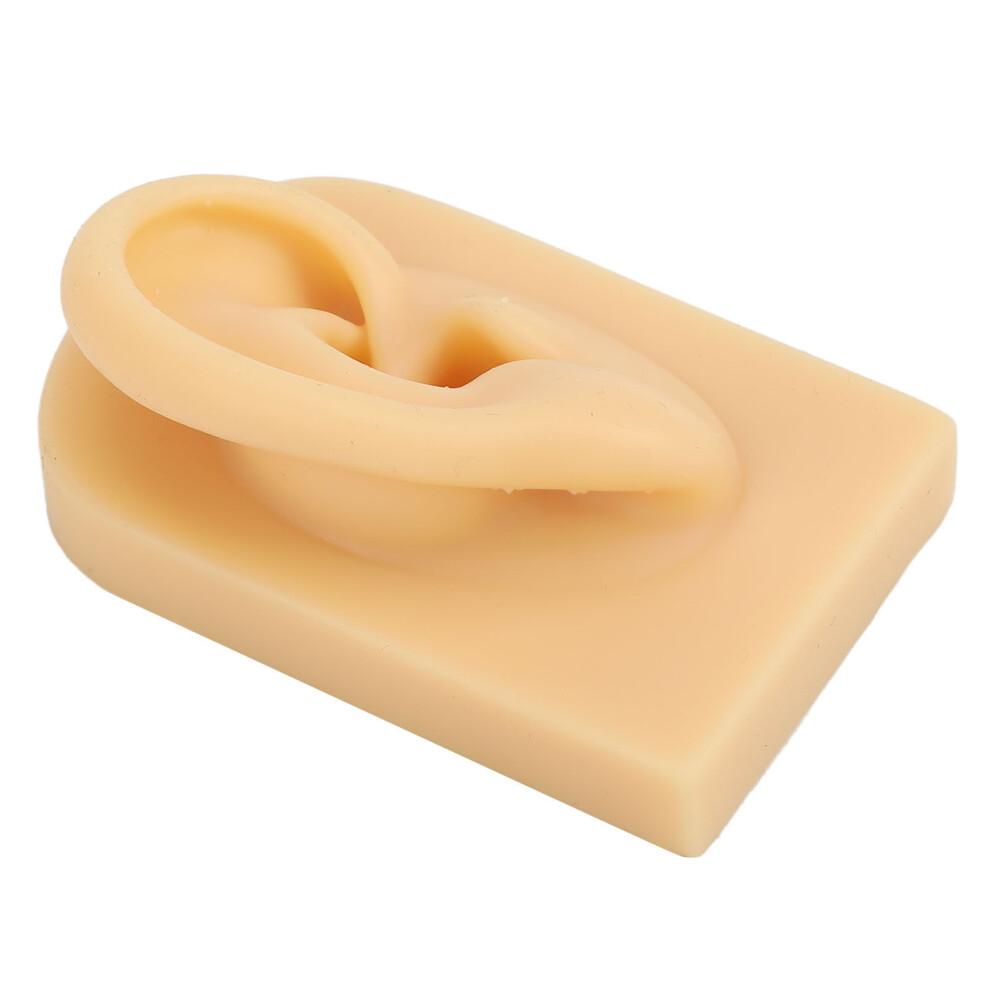 Flexible Silicone Human Ear Model for Piercing & Display, Light Skin