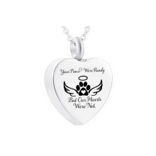 1pc Cremation Jewelry Heart Shape Wing Pendant Stainless Steel Urn For Ashes T212 Main Stone Silver Metal Color Heart