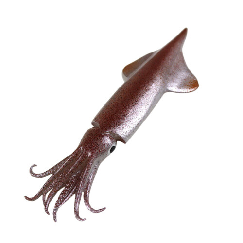 1Pc Simulated Squid Multi Color Exquisite Workmanship Display 1