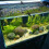4 aquariengitter kunststoff mit clips, eierkarton- , filtration 6