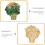 Crystal Brosse Overhemd Borstpen Veiligheidsspeld Charm Hanger 9