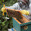 Household Beehive Stand Stainless Durable Silver Beekeeping Rack 6