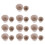 100Pcs Beige Germination Starter Cups for Plants 1