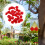 25 -wasser-flaschenfutterstelle, blumenförmig rot 5