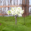 simulationbaum mit sukkulenten, gartendekoration ( ) 6