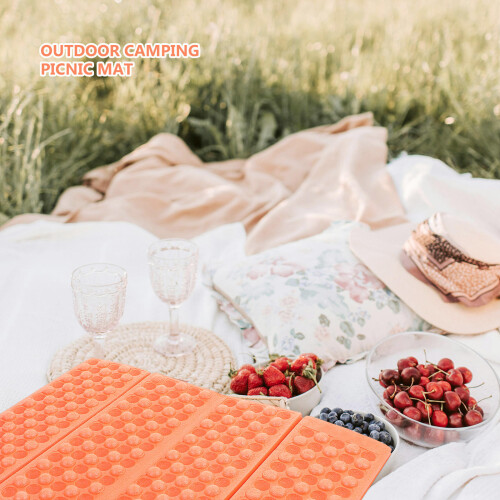 1Set Orange Multifunctional Waterproof Picnic Cushion Foldable Mat 2