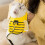 1 Set Creatief Kat Verstelbare Puppy Vestriem Kitten 4