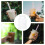 50Stk Tee Milch To Go Henkelbeutel Pe Transparent Einweg 6