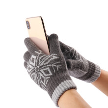 Ein Paar Verdickte Touchscreen Winterhandschuhe Für Draußen