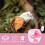 Cage Transport Rose Ventilée En ABS Pour Petits Animaux 10