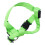 Laisse Pour Vert Respirant 1