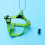Laisse Pour Vert Respirant 7