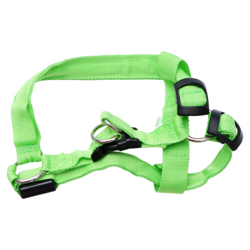 Laisse Pour Vert Respirant 2