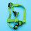 Laisse Pour Vert Respirant 5