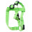 Laisse Pour Vert Respirant 2