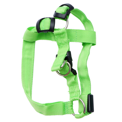 Laisse Pour Vert Respirant 1