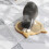 Accessoire Sisal Krabpaal Met Verticale Constructie 10