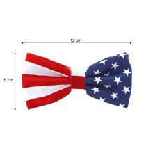 Star Stropdas Amerikaanse Onafhankelijkheidsdag Printstropdas