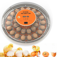 30 Eggs Fully Automatic Incubator Intelligent Chicken Duck Egg Hatcher