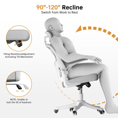 (Grey) Ergonomic Office Chair with Adjustable Headrest,Mesh Back 2